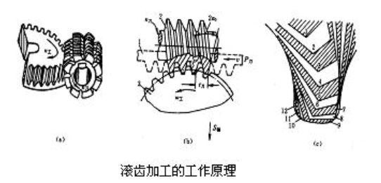 直齒輪可以滾齒加工嗎？