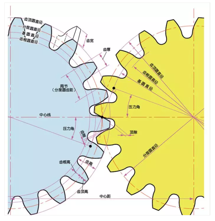 齒輪各部位的名稱 